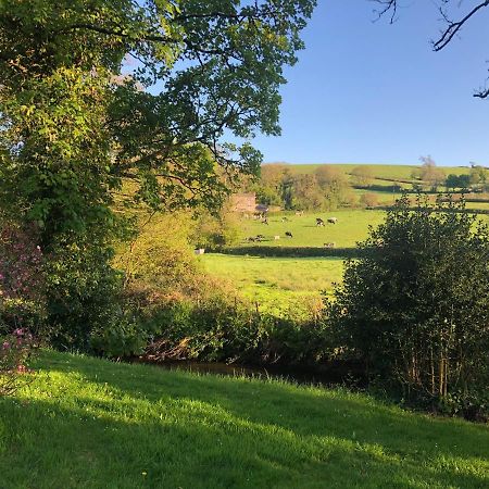 Bow Mill Farm Bed & Breakfast Totnes Dış mekan fotoğraf