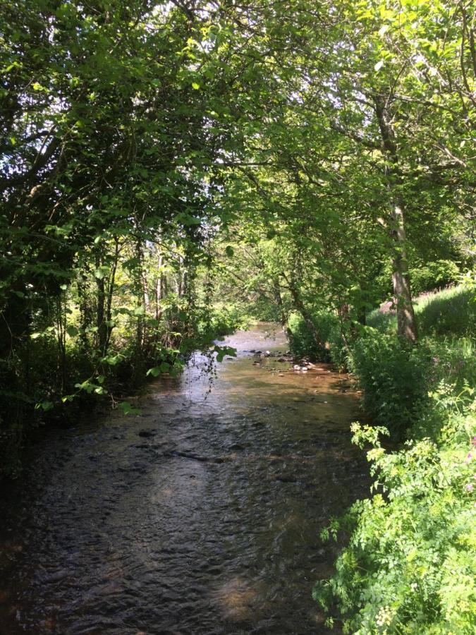 Bow Mill Farm Bed & Breakfast Totnes Dış mekan fotoğraf