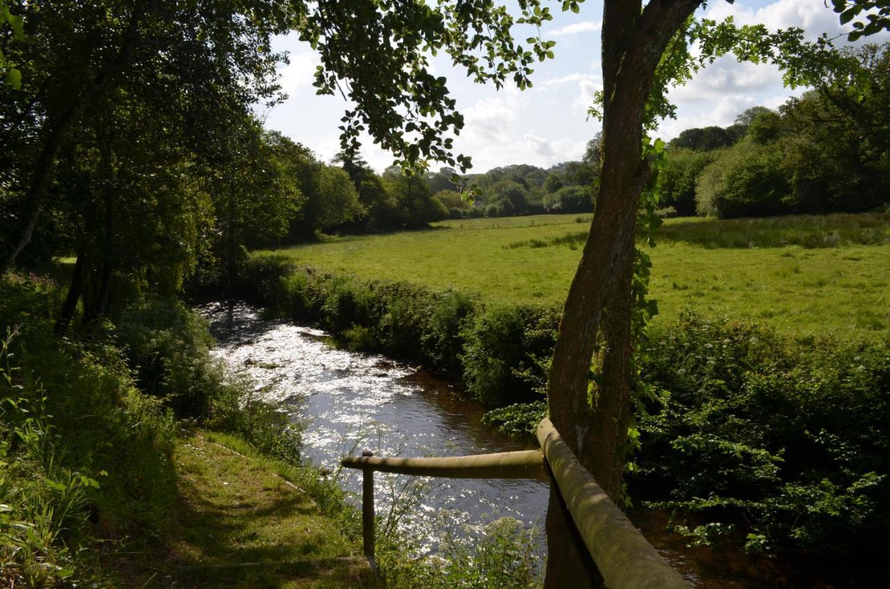 Bow Mill Farm Bed & Breakfast Totnes Dış mekan fotoğraf