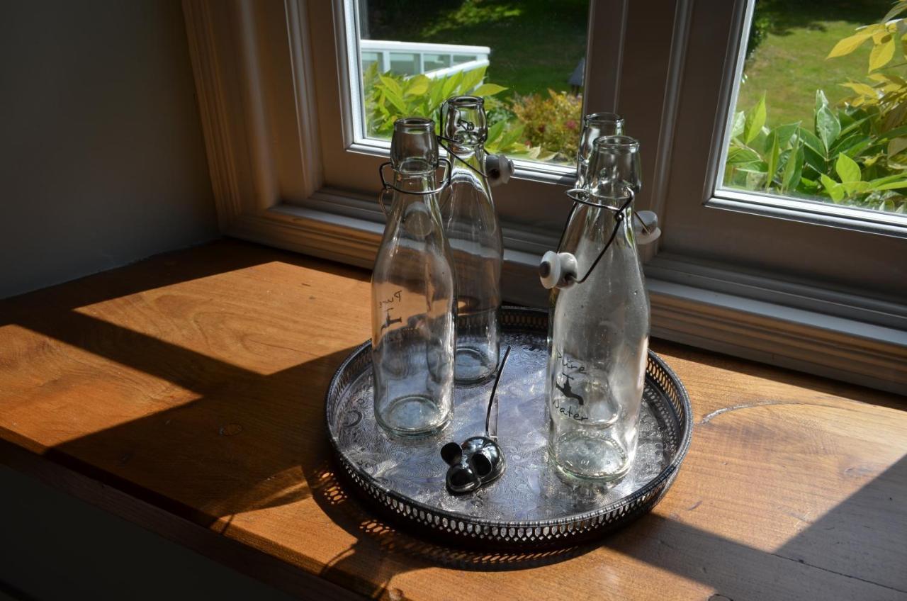 Bow Mill Farm Bed & Breakfast Totnes Dış mekan fotoğraf
