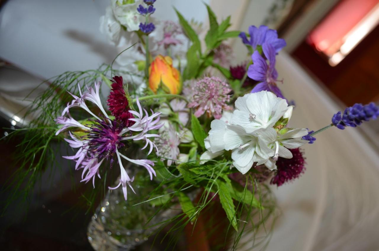 Bow Mill Farm Bed & Breakfast Totnes Dış mekan fotoğraf